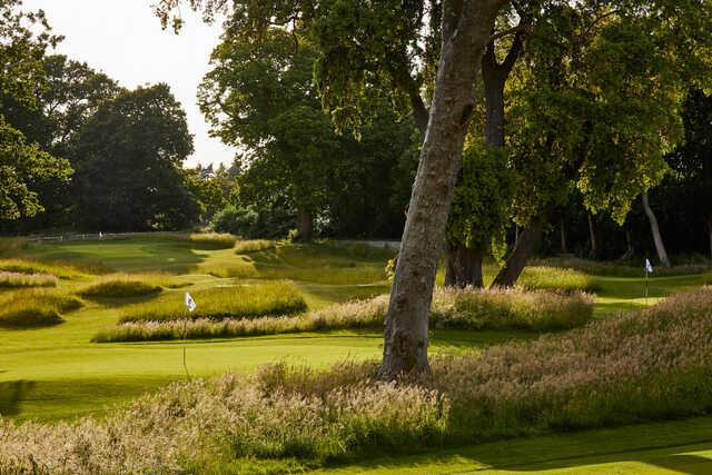 Golf at Goodwood - The Copse Course - photo 2