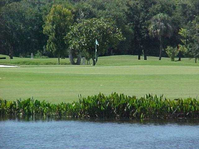 Plantation on Crystal River Golf Course - photo 4