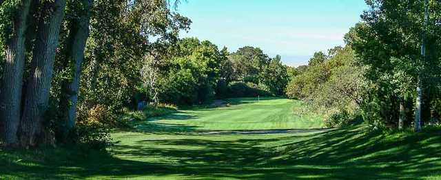 Davis Park Golf Course - photo 2