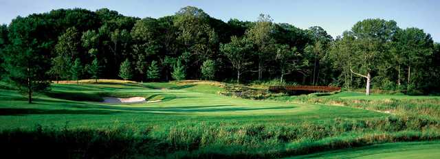 The Bull at Pinehurst Farms - photo 4