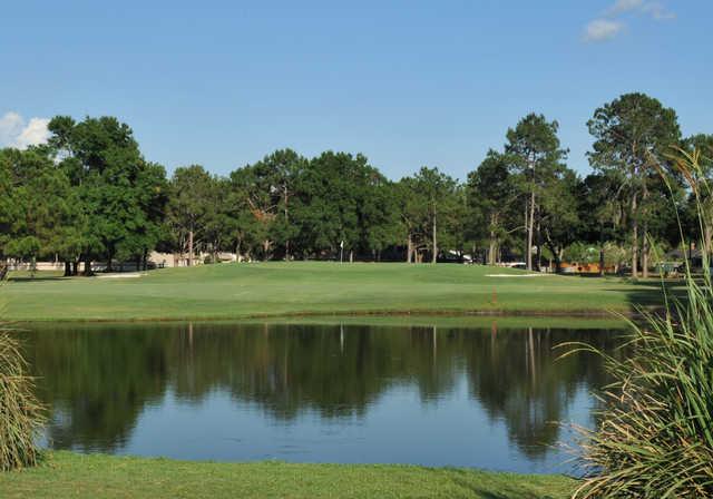 Pebble Creek Golf Club - photo 5