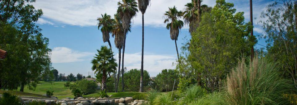 The Legends Golf Club - photo 7