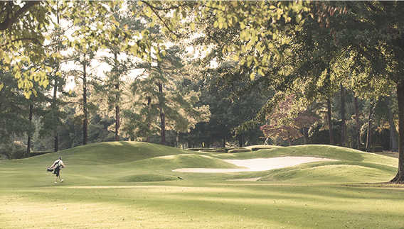 Starmount Forest Country Club - photo 4