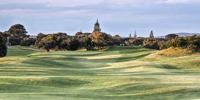 Albany Golf Club - photo 5