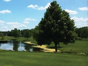 Chicago Heights Park District Golf Course East - photo 3