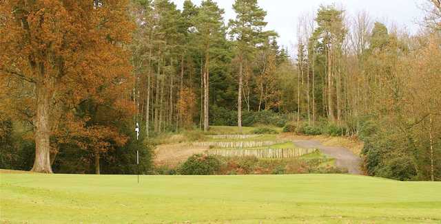 Remedy Oak Golf Club - photo 4