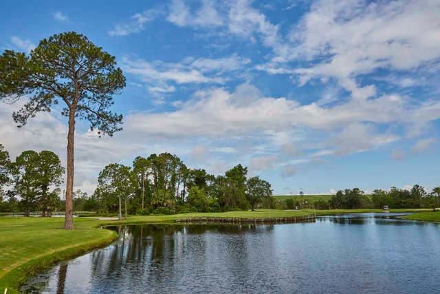 Queen's Harbour Yacht & Country Club - photo 6