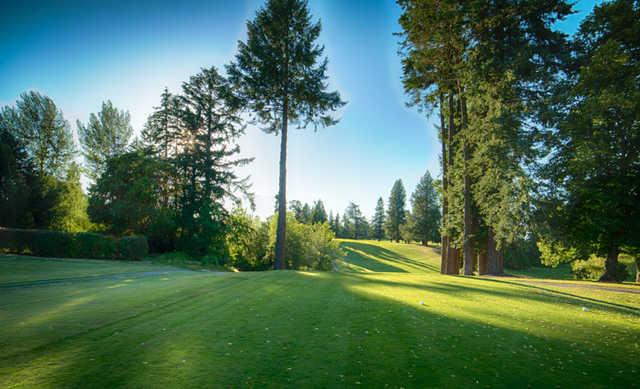 Forest Hills Golf Course - photo 8