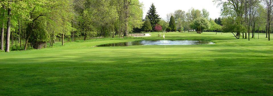 The Golf Course at Branch River - photo 6