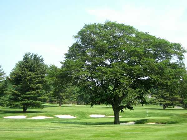 Madison Golf Club - photo 3