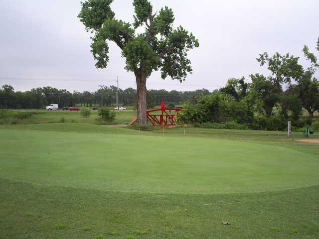 Twin Oaks Golf Club - photo 2