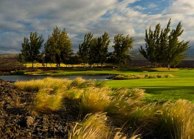 Kings Course - photo 3