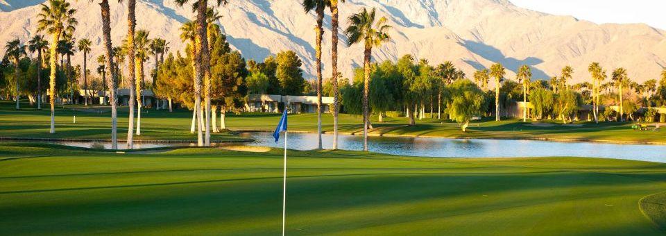 Desert Princess Country Club & Resort - photo 3