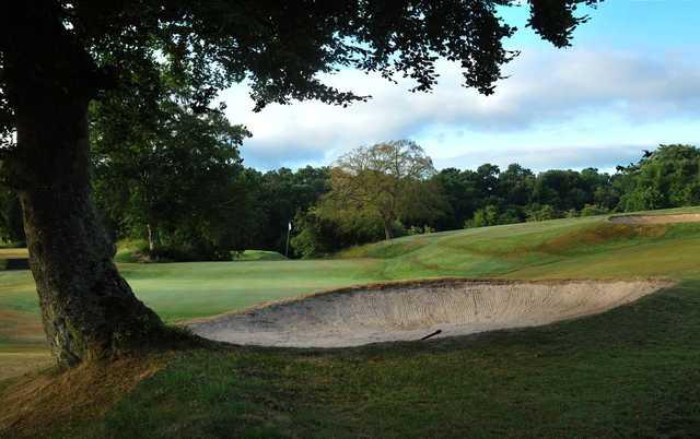 Carluke Golf Club - photo 2