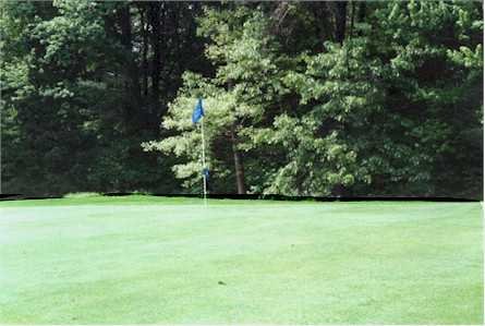 The Sycamore Golf Course - photo 2