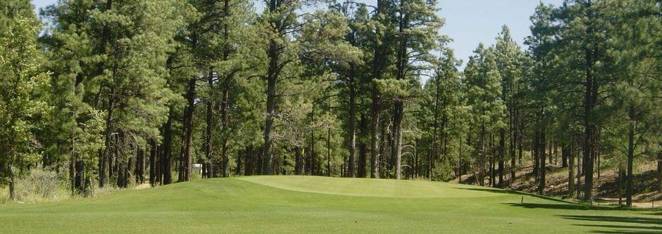 Bison Golf Club - photo 5