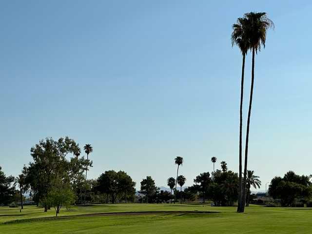Palmbrook Golf Club - photo 7