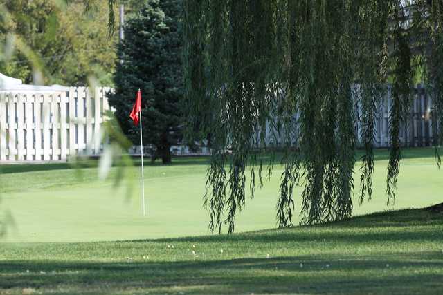 Willow Vale Golf Course - photo 1