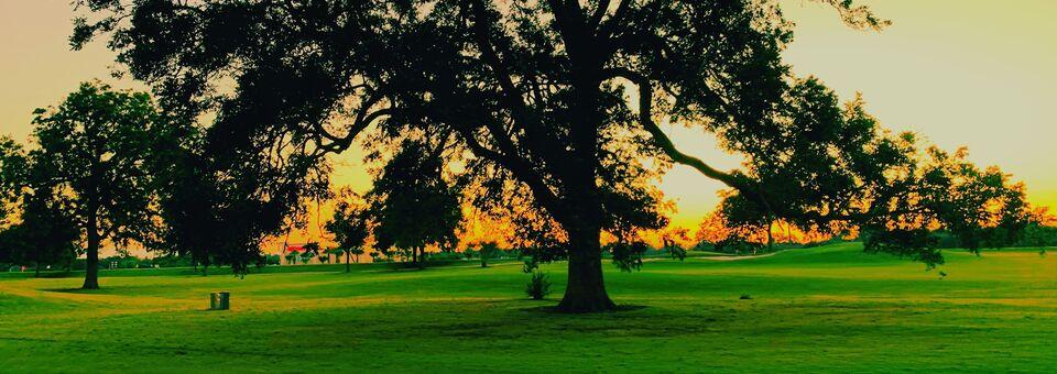 The Club at Pecan Grove - photo 2