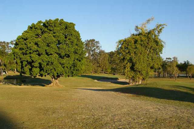 Maryborough Golf Club QLD - photo 6