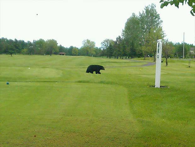 Nemadji Golf Club East-West - photo 3