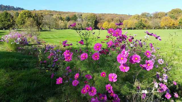 Golf de Rougemont Le Chateau - photo 2
