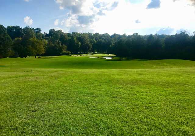 The Revival Golf Club at The Crescent - photo 2