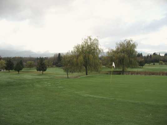 Mulligans Golf Course - photo 2