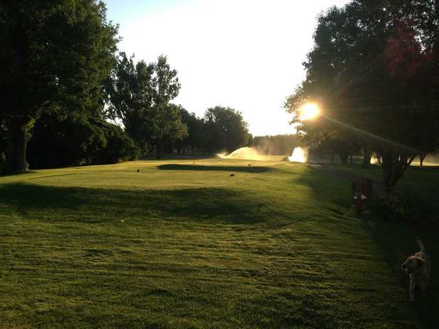 Elmwood Park Golf Course - photo 6