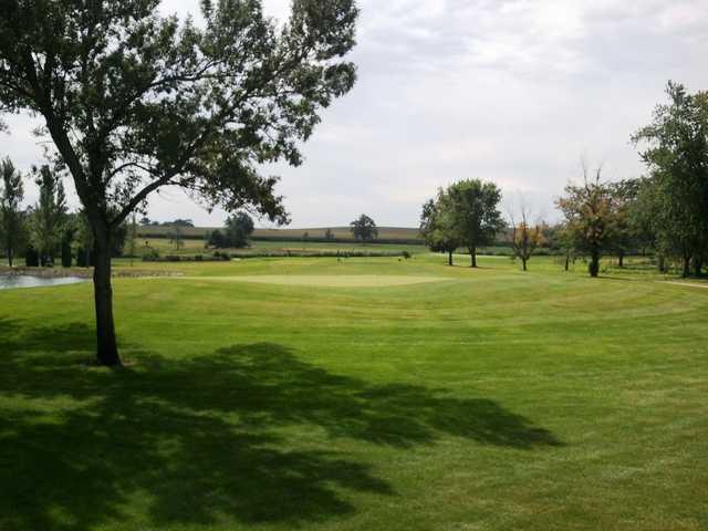 Town & Country Golf Course - photo 2