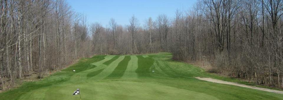 The Fox Golf Club - photo 3
