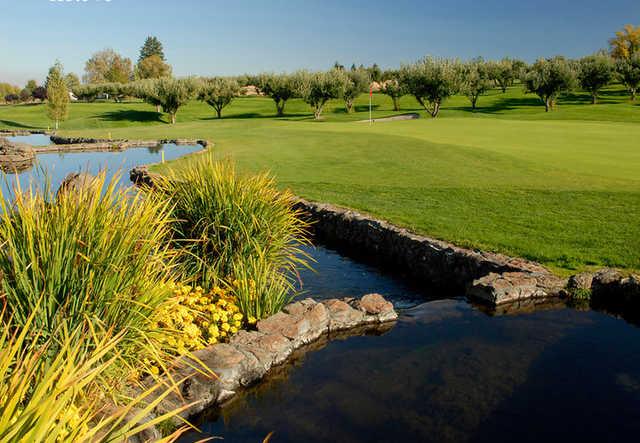 Apple Tree Golf Course - photo 5