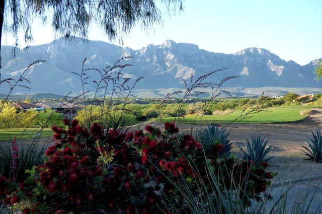 The Views Golf Club at Oro Valley - photo 3