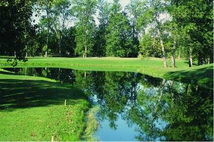 Swan Valley Golf Club - photo 3