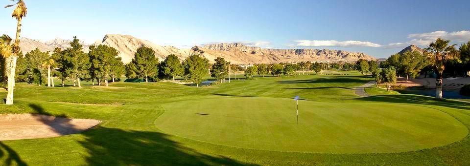 Palm Valley Golf Course at Golf Summerlin - photo 4