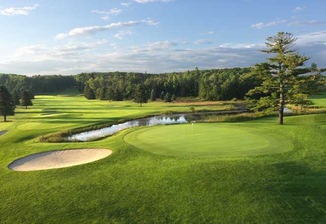 The Alpine at Boyne Mountain Resort (BOYNE) - photo 4