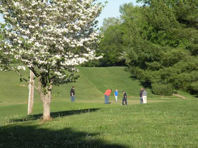 Dogwood Hills Country Club - photo 2
