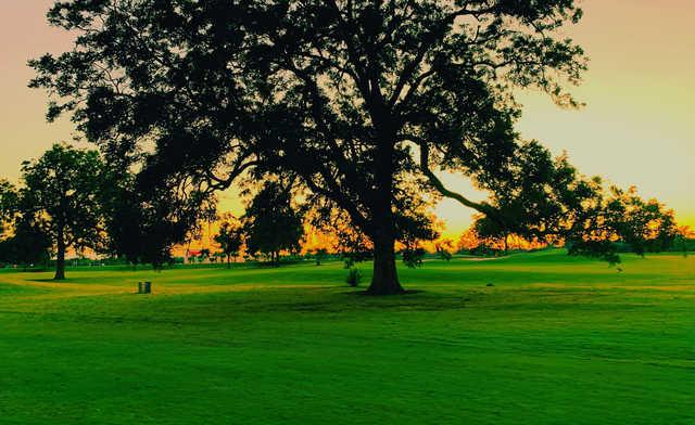 The Club at Pecan Grove