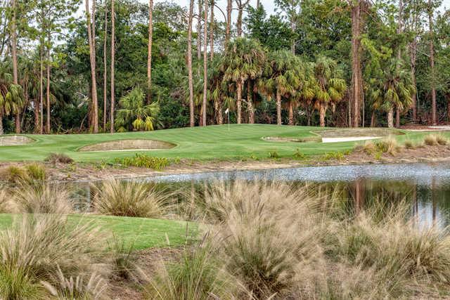 Tiburon Golf Club - Gold Course - photo 8