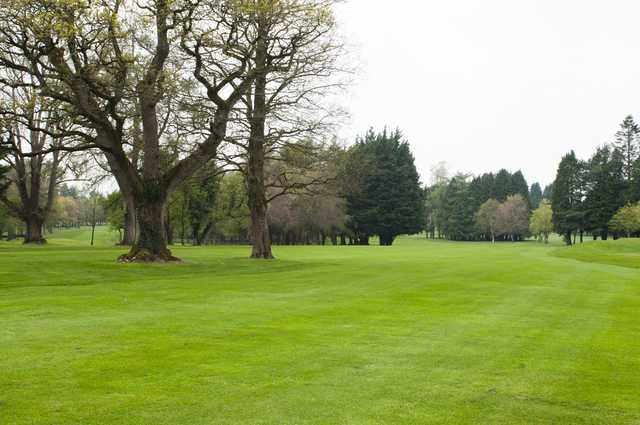 Royal Tara Golf Club - photo 5