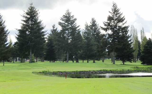 Newaukum Valley Golf Course - photo 2