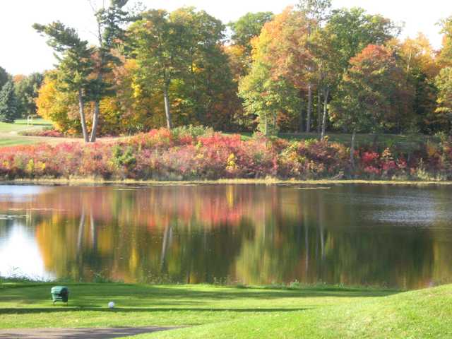 Ruttgers Bay Lake Lodge - photo 3