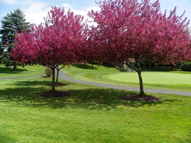 Mohawk Golf Club - photo 3