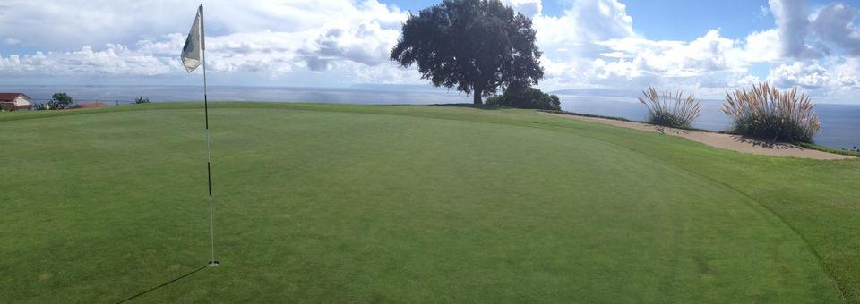 Los Verdes Golf Course - photo 6
