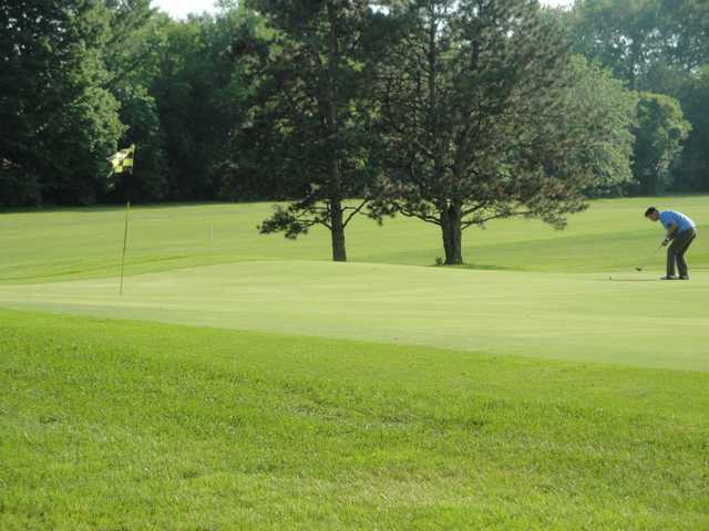 Village Green Golf Course - Mundelein - photo 3