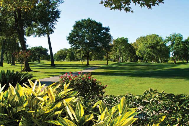 Pine Forest Country Club