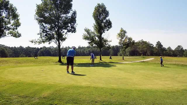 Eagle Springs Golf Course - photo 3