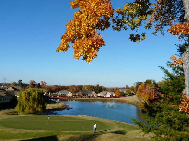 Royal Oaks 1