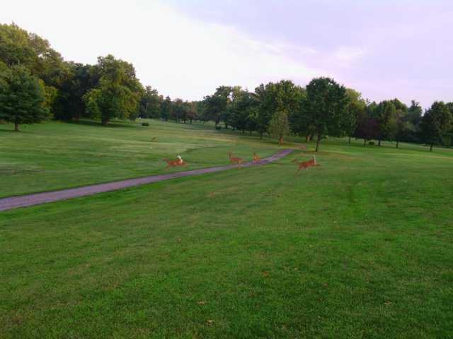 New Albany Golf Course - photo 2