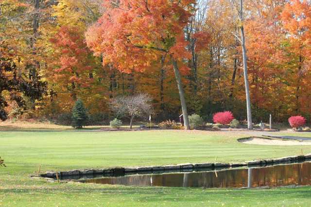The Pines Golf Club - photo 2